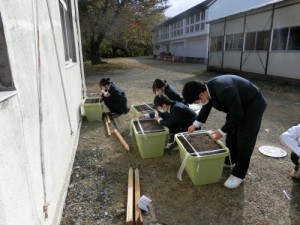 13種まきプランター