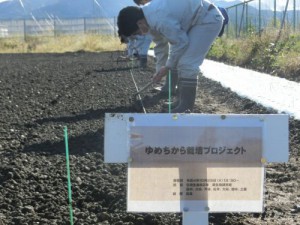 04圃場で種まき