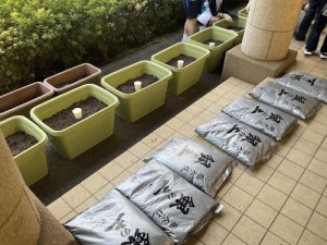 11月上旬　土づくり＆種まきを行いました。