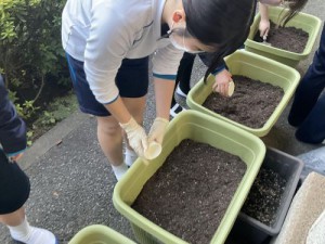 11月上旬　土づくり＆種まきを行いました。２