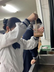 11月上旬　土づくり＆種まきを行いました。３