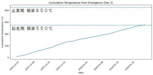 積算気温グラフ