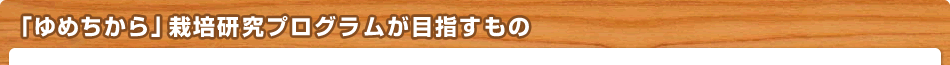 「ゆめちから」栽培研究プログラムが目指すもの