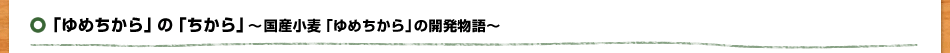 「ゆめちから」の「ちから」～国産小麦「ゆめちから」の開発物語～