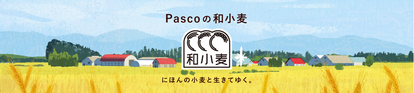 Pascoの和小麦