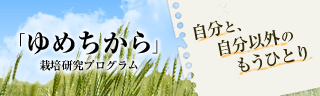 「ゆめちから」栽培研究プログラム　レポートブログ