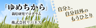 「ゆめちから」栽培研究プログラム　レポートブログ