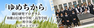 「ゆめちから」栽培研究プログラム　レポートブログ