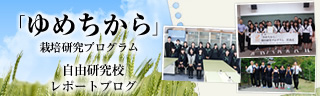 「ゆめちから」栽培研究プログラム　レポートブログ