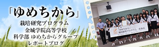 「ゆめちから」栽培研究プログラム　レポートブログ