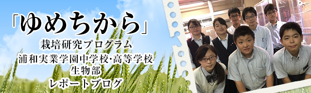 「ゆめちから」栽培研究プログラム　レポートブログ