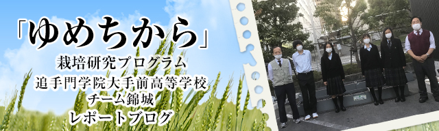「ゆめちから」栽培研究プログラム　レポートブログ