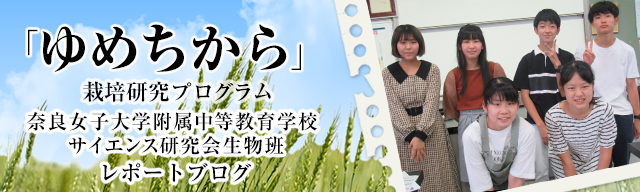 「ゆめちから」栽培研究プログラム　レポートブログ