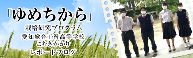 「ゆめちから」栽培研究プログラム　レポートブログ