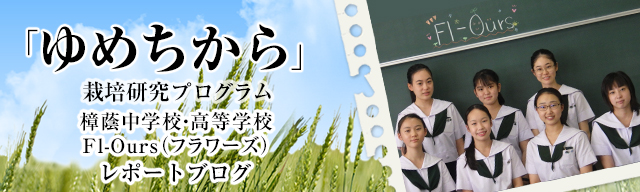「ゆめちから」栽培研究プログラム　レポートブログ