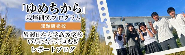 「ゆめちから」栽培研究プログラム　レポートブログ