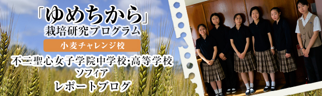 「ゆめちから」栽培研究プログラム　レポートブログ