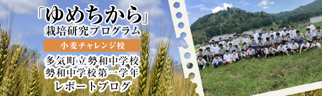 「ゆめちから」栽培研究プログラム　レポートブログ
