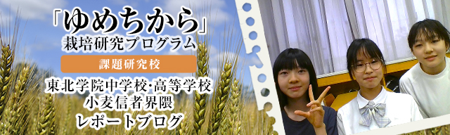 「ゆめちから」栽培研究プログラム　レポートブログ