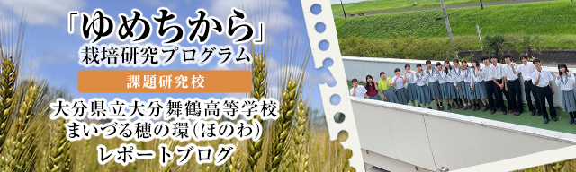 「ゆめちから」栽培研究プログラム　レポートブログ