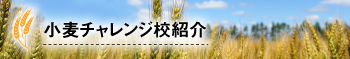 小麦チャレンジ校
