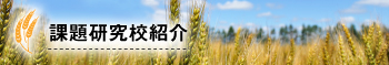 2021年課題研究校